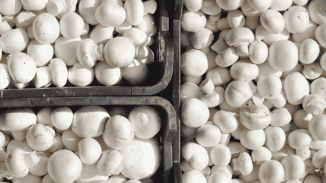 Працівник лінії продукції FIG-FOOD